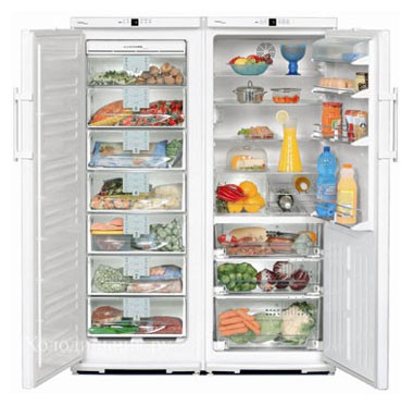 Tủ lạnh Liebherr SBS 6102 ảnh, đặc điểm
