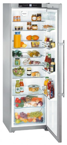 Refrigerator Liebherr SKBbs 4210 larawan, katangian