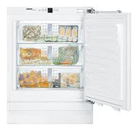 Refrigerator Liebherr UIG 1313 larawan, katangian