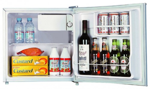 Refrigerator Midea HS-65LN larawan, katangian