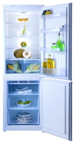 Kühlschrank NORD 300-010 Foto, Charakteristik