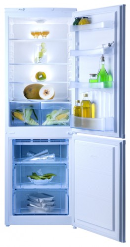 Ψυγείο NORD ERB 300-012 φωτογραφία, χαρακτηριστικά