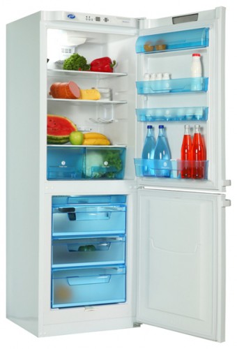 Refrigerator Pozis RK-124 larawan, katangian