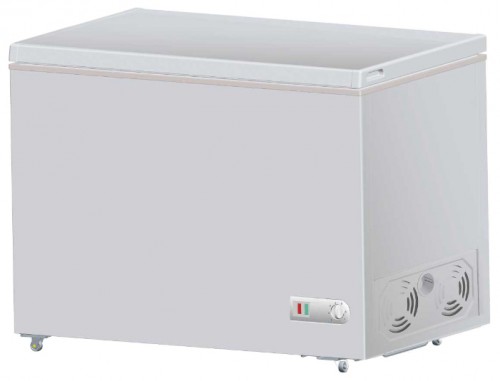 Buzdolabı RENOVA FC-250 fotoğraf, özellikleri