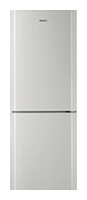 Refrigerator Samsung RL-24 FCSW larawan, katangian