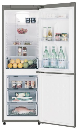ตู้เย็น Samsung RL-40 ECMG รูปถ่าย, ลักษณะเฉพาะ