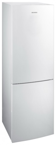 Kjøleskap Samsung RL-40 SCSW Bilde, kjennetegn