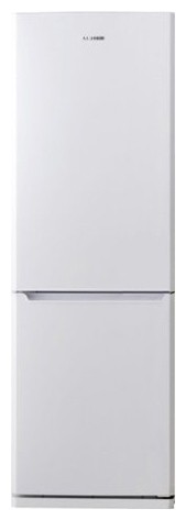 Refrigerator Samsung RL-41 SBSW larawan, katangian