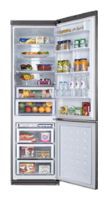 Refrigerator Samsung RL-52 VEBIH larawan, katangian
