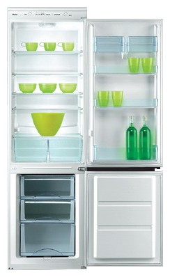 Refrigerator Silverline BZ12005 larawan, katangian