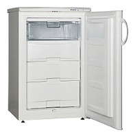 Refrigerator Snaige F100-1101АА larawan, katangian