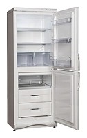Tủ lạnh Snaige RF300-1101A ảnh, đặc điểm