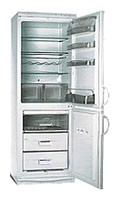 Tủ lạnh Snaige RF310-1713A ảnh, đặc điểm