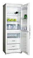 Tủ lạnh Snaige RF310-1T03A ảnh, đặc điểm