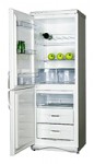Refrigerator Snaige RF310-1T03A 60.00x173.00x60.00 cm