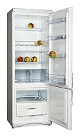 Refrigerator Snaige RF315-1T03А larawan, katangian