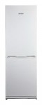 Refrigerator Snaige RF31SM-S10021 60.00x176.00x62.00 cm