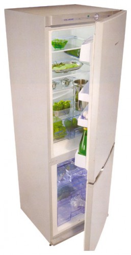 Kühlschrank Snaige RF31SM-S11A01 Foto, Charakteristik
