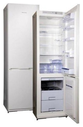 Tủ lạnh Snaige RF39SH-S10001 ảnh, đặc điểm