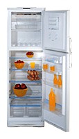 Холодильник Stinol R 36 NF Фото, характеристики