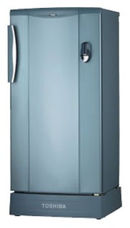 Kühlschrank Toshiba GR-E311DTR I Foto, Charakteristik
