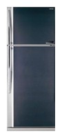 Buzdolabı Toshiba GR-YG74RDA GB fotoğraf, özellikleri