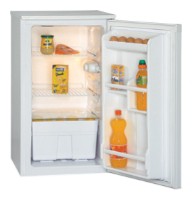 Kühlschrank Vestel GN 1201 Foto, Charakteristik