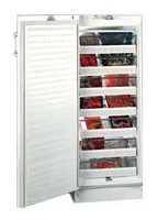 Refrigerator Vestfrost BFS 275 H larawan, katangian