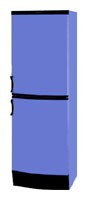 Refrigerator Vestfrost BKF 404 B40 Blue larawan, katangian