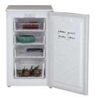 Kjøleskap WEST FR-1001 Bilde, kjennetegn