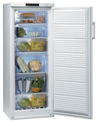 Refrigerator Whirlpool WV 1600 A+W larawan, katangian