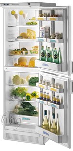 Refrigerator Zanussi ZFC 375 larawan, katangian