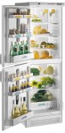 Refrigerator Zanussi ZFC 375 59.70x185.00x60.30 cm