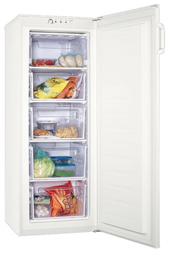 Холодильник Zanussi ZFU 219 WO Фото, характеристики