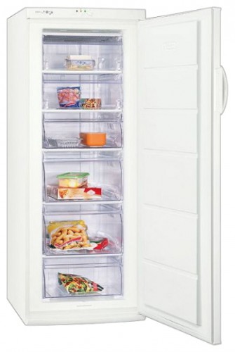 Refrigerator Zanussi ZFU 422 W larawan, katangian
