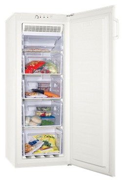Refrigerator Zanussi ZFU 616 FWO1 larawan, katangian