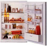 Ψυγείο Zanussi ZU 1402 φωτογραφία, χαρακτηριστικά