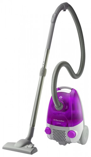 Vacuum Cleaner Electrolux ZAM 6220 larawan, katangian