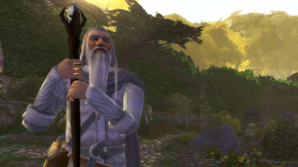 The Lord of the Rings Online 800 LOTRO Point EU Code, 10.06$