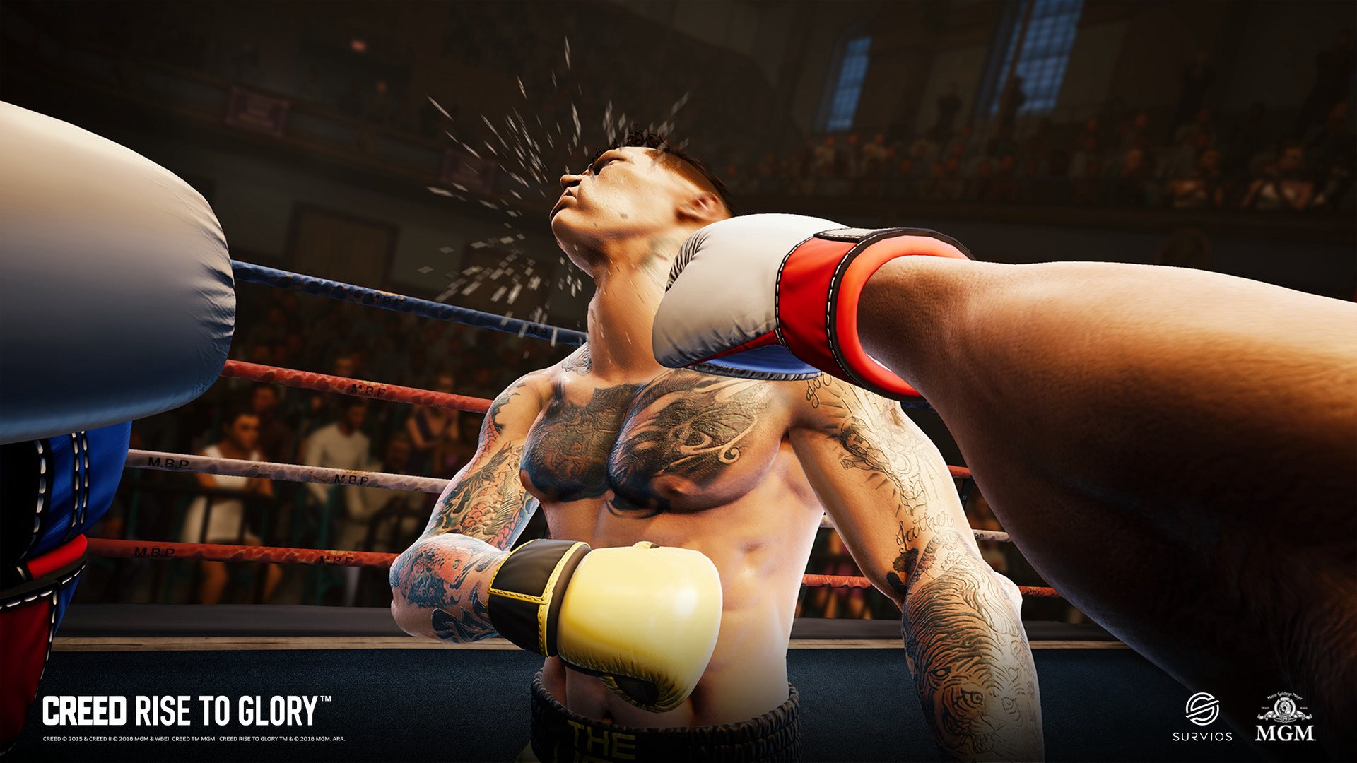 Creed: Rise to Glory Steam CD Key, 10.71$
