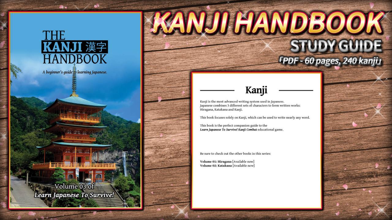 Learn Japanese To Survive! Kanji Combat - Study Guide DLC Steam CD Key, 1.76$
