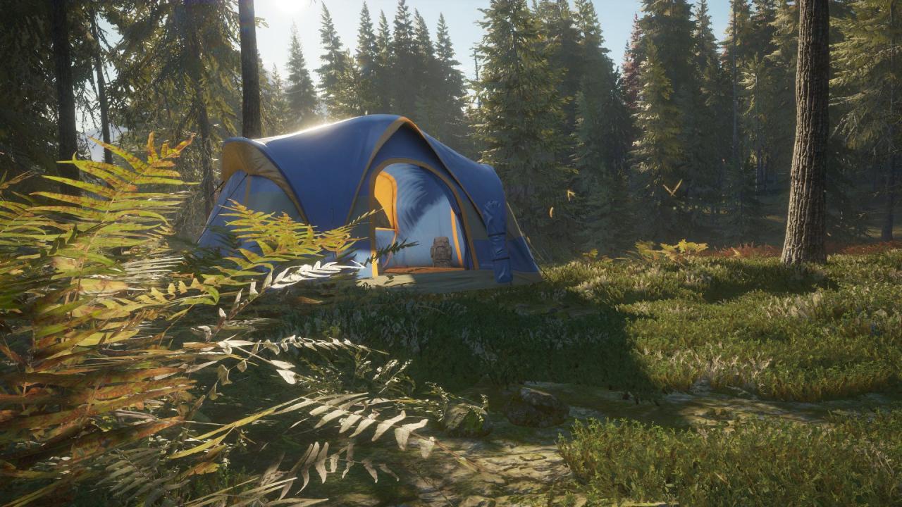 theHunter: Call of the Wild - Tents & Ground Blinds DLC Steam CD Key, 1.6$