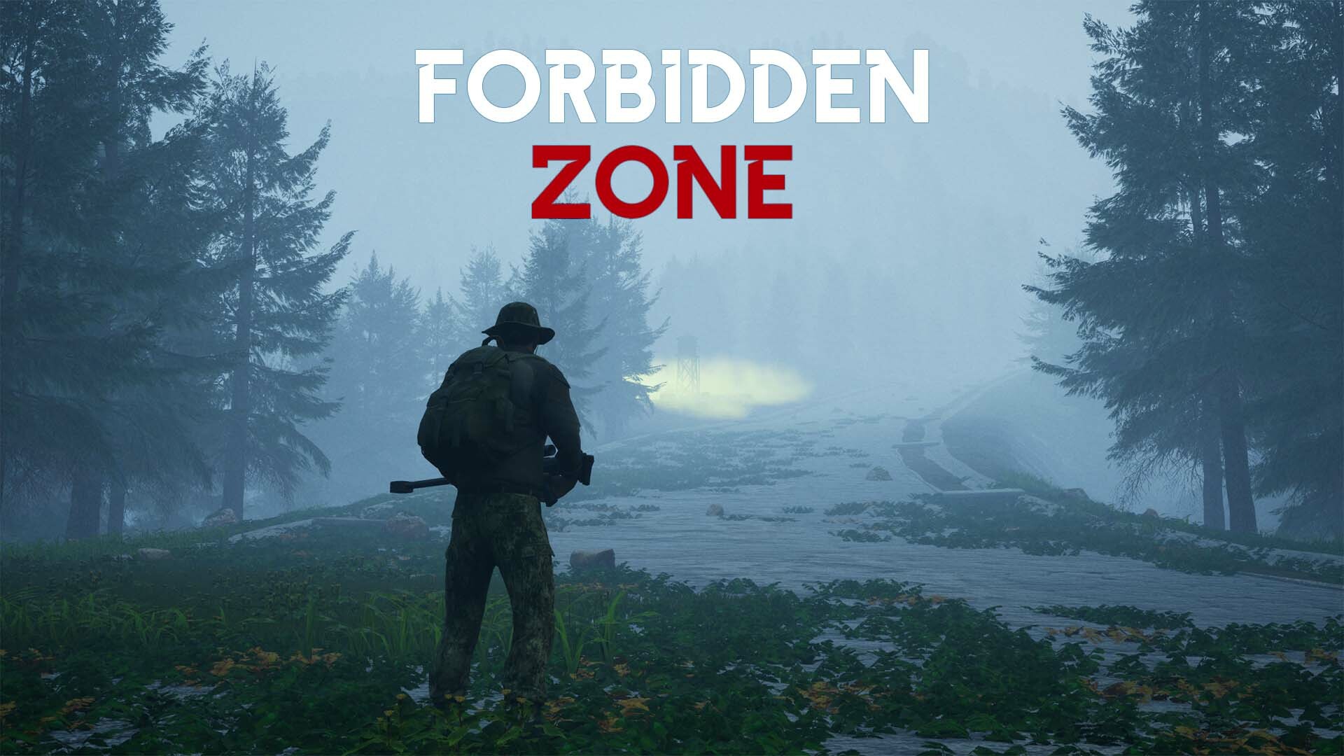 Forbidden zone Steam CD Key, 2.44$