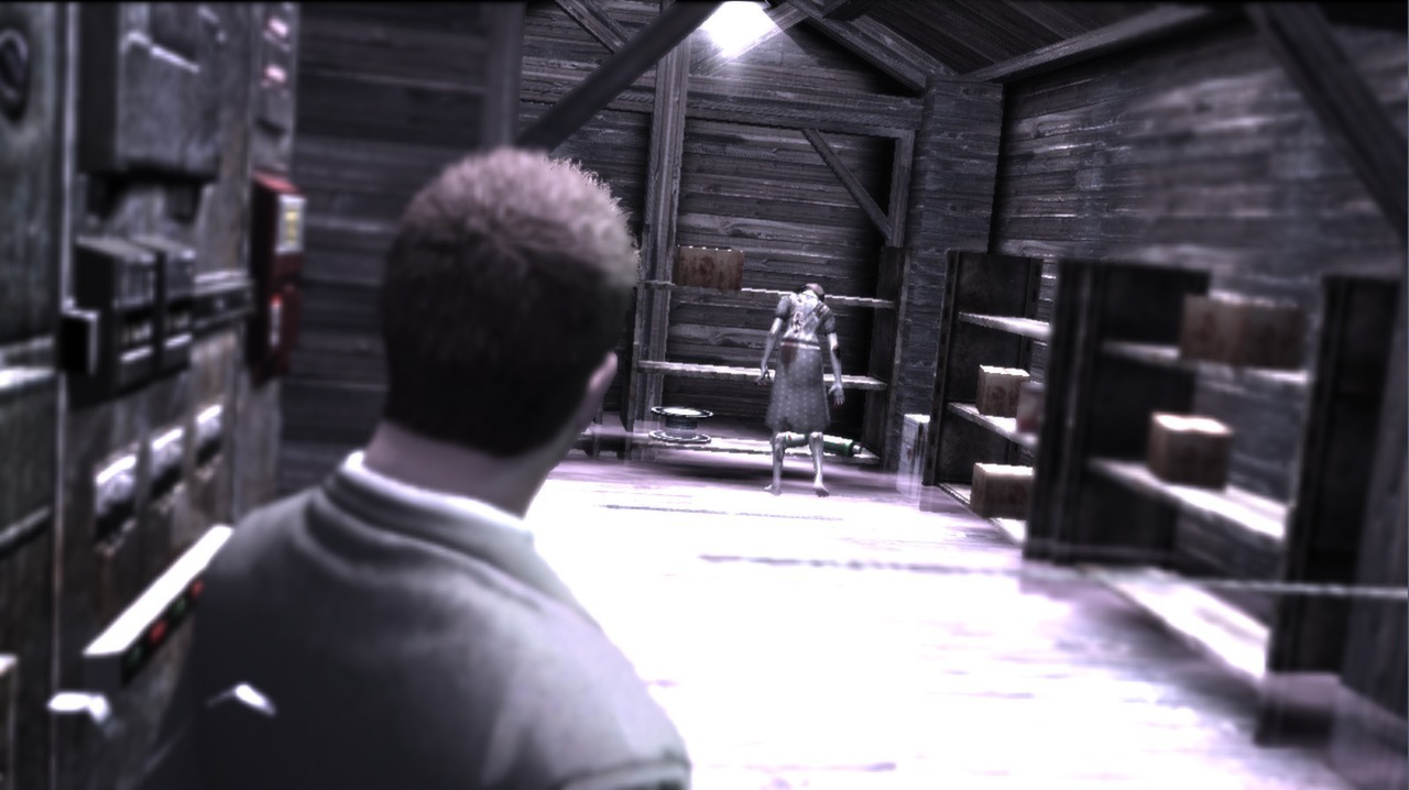 Deadly Premonition: The Director's Cut - Deluxe Edition Steam Gift, 20.33$