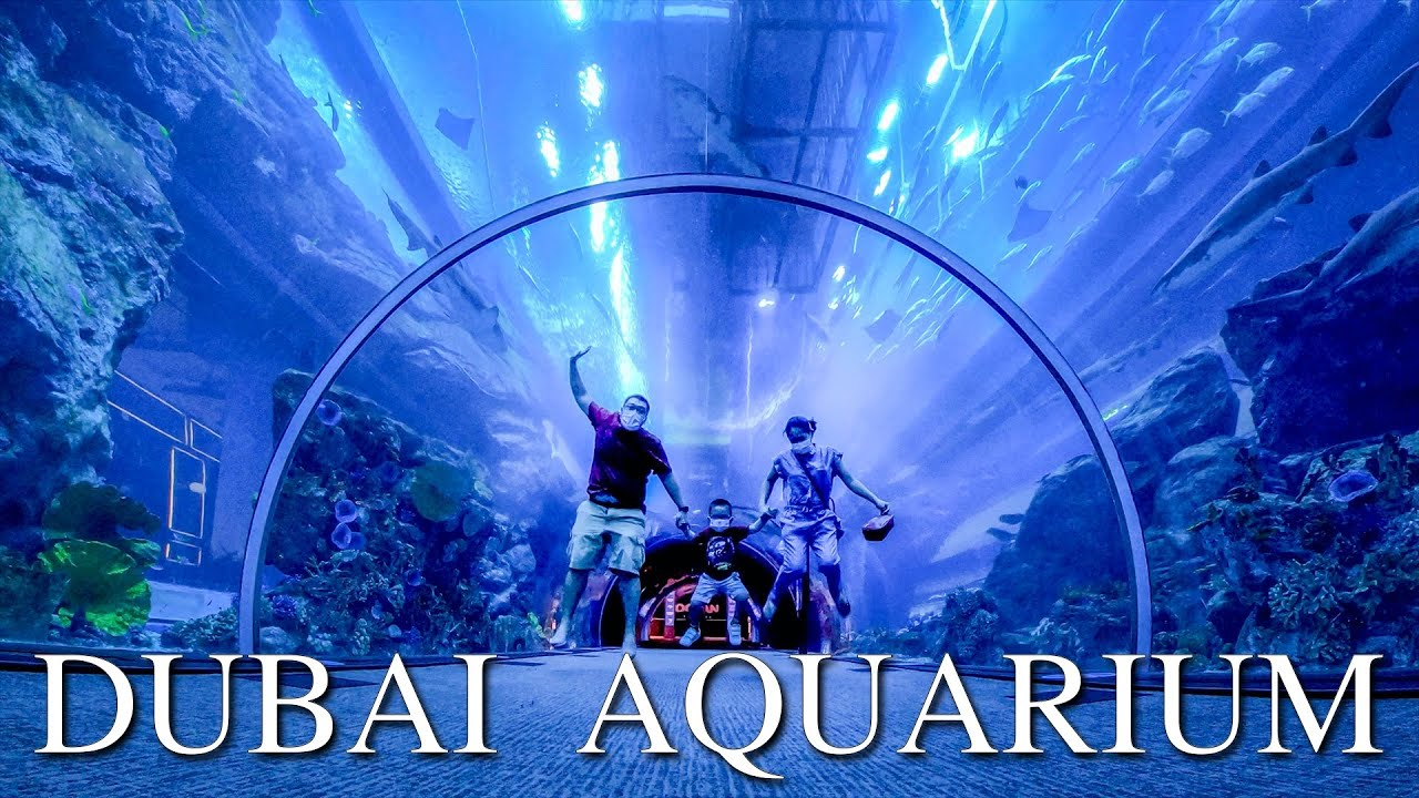 Dubai Aquarium & Underwater Zoo 50 AED Gift Card AE, 16.02$