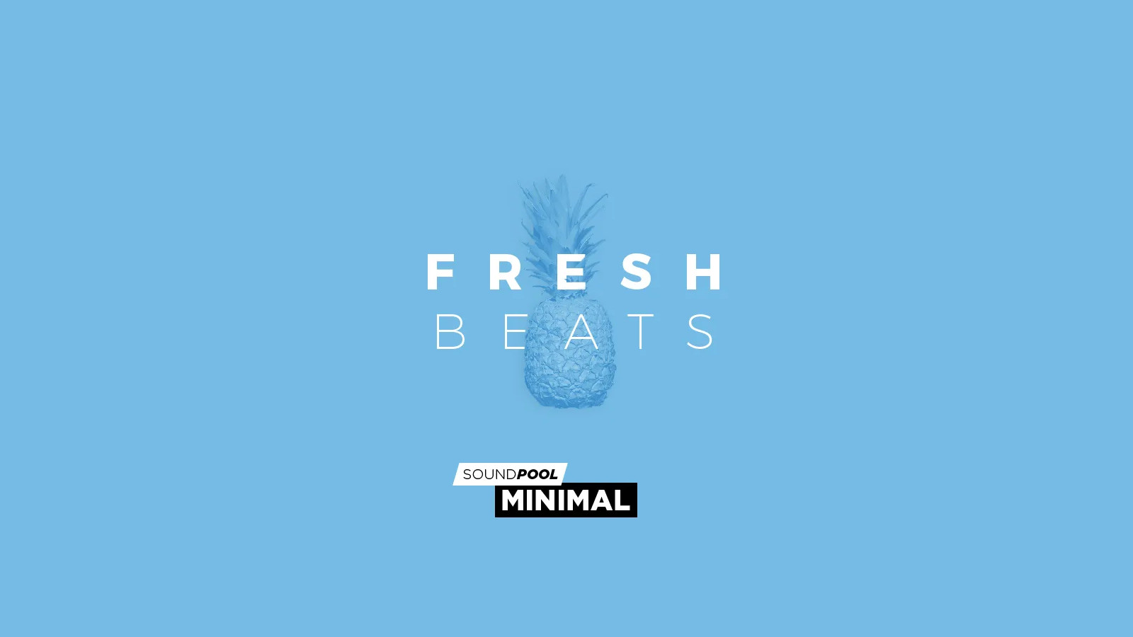 MAGIX Soundpool Fresh Beats ProducerPlanet CD Key, 5.65$
