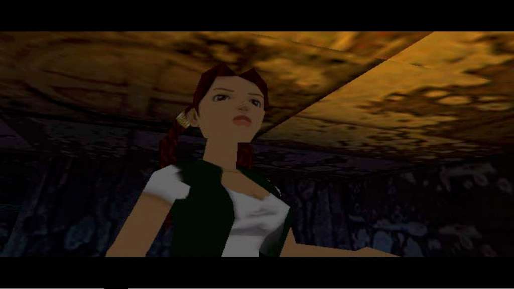 Tomb Raider V: Chronicles Steam Gift, 56.49$