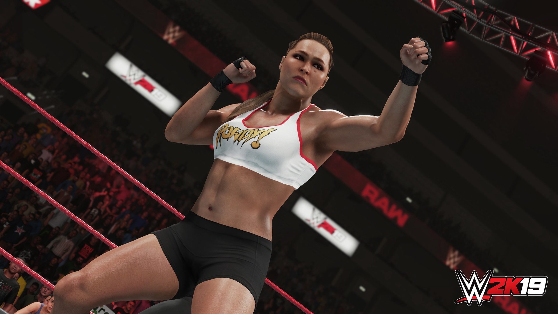 WWE 2K19 PlayStation 4 Account pixelpuffin.net Activation Link, 15.81$